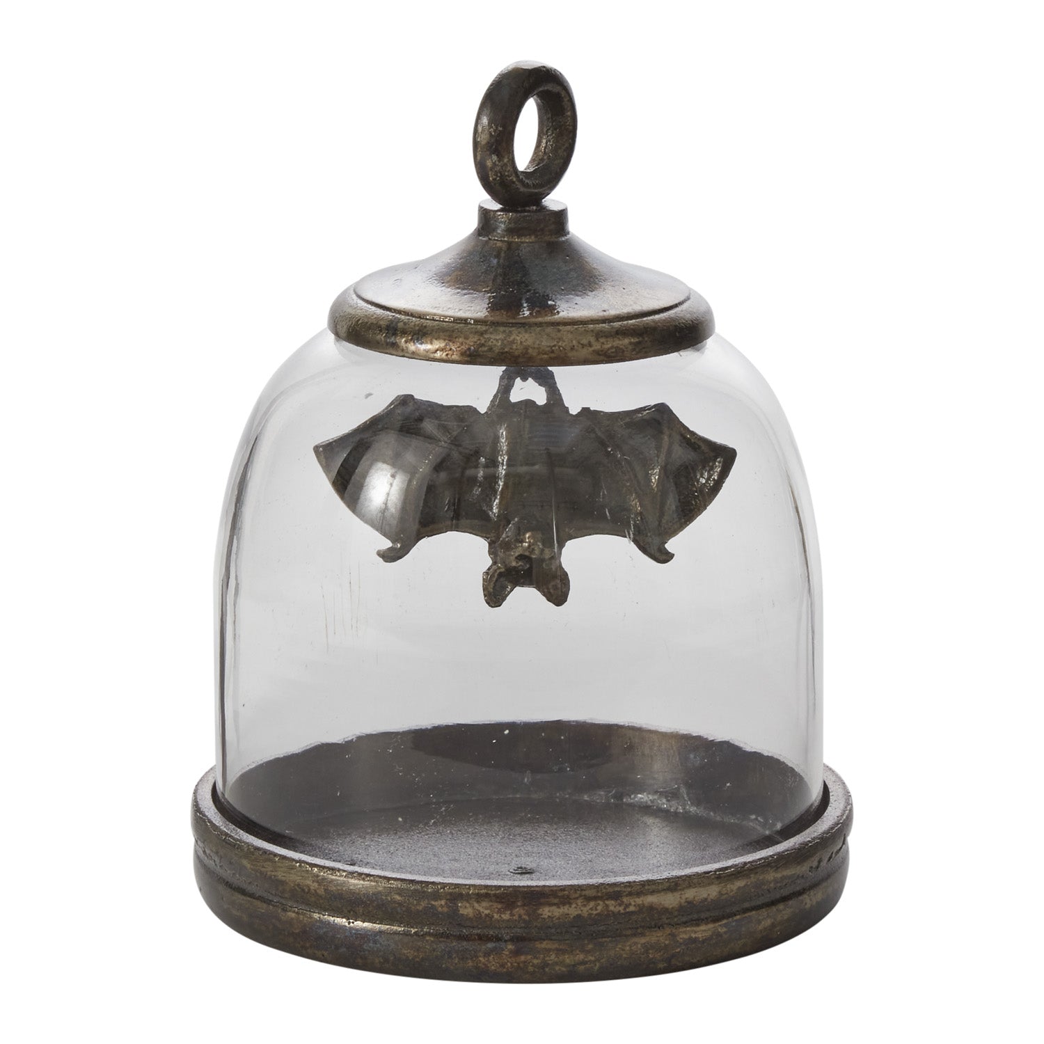 Bat Cave Cloche