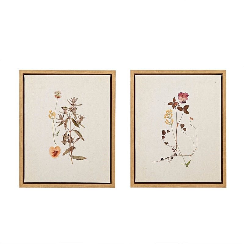 French Herbarium 2-piece Framed Canvas Wall Art Set