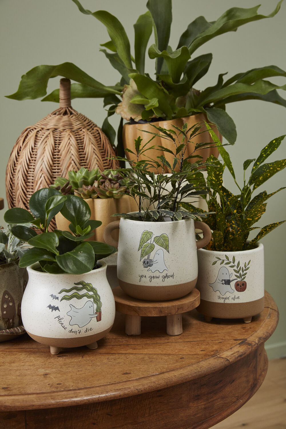 Ghostly Growing Planting Pot