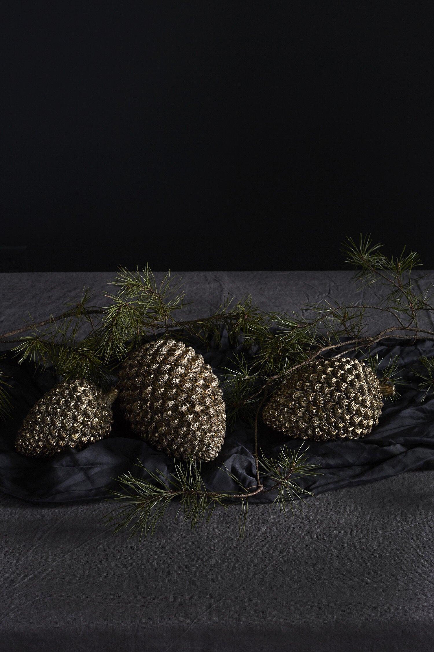 Coulter Pine Cone