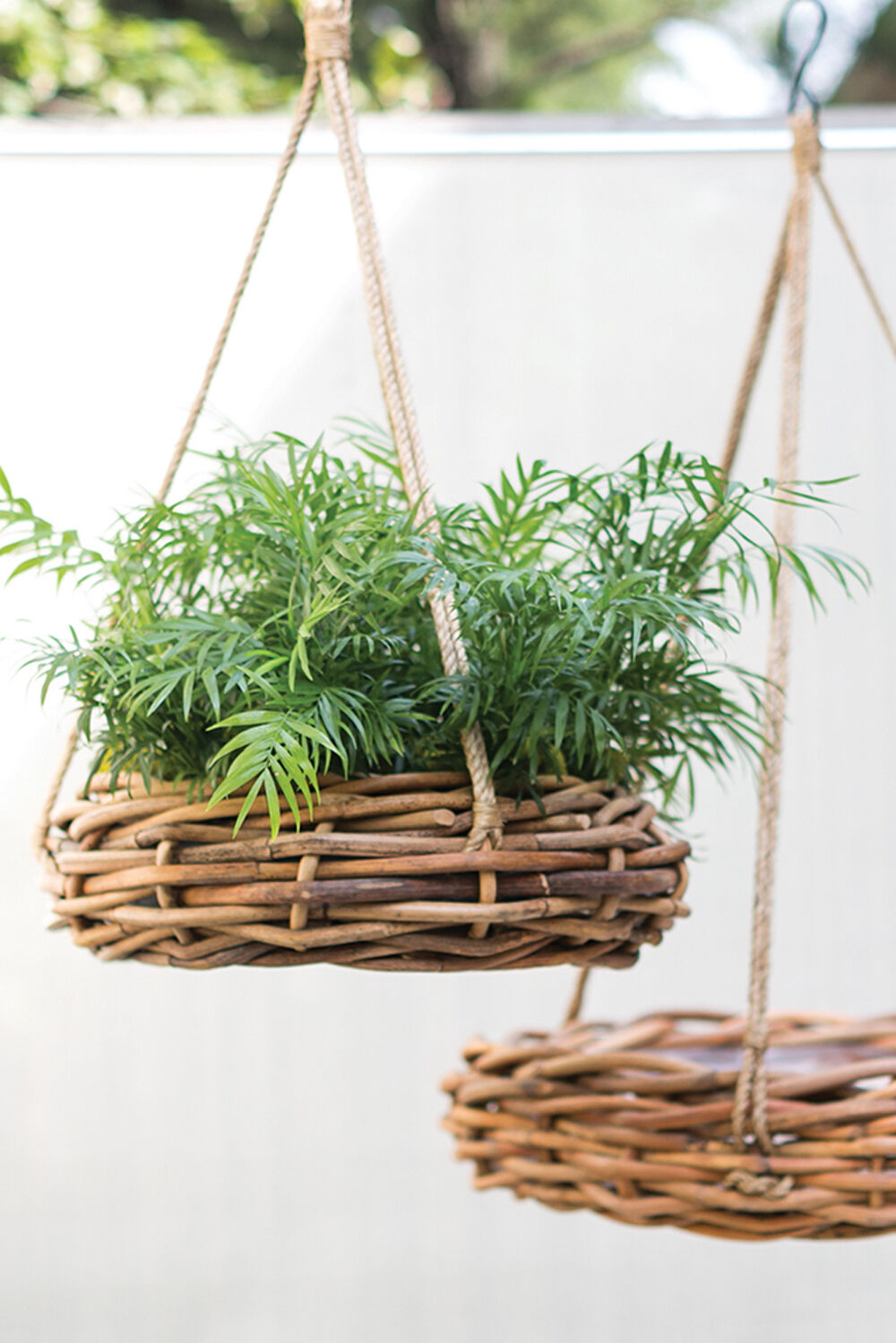 Cabana Hanger 23"x 6.5"