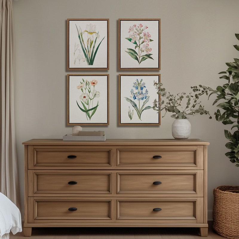 Herbal Botany 4-piece Botanical Illustration Framed Canvas Wall Art Set by Madison Park