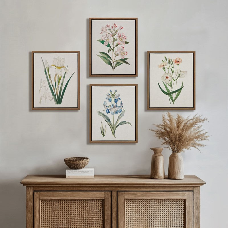 Herbal Botany 4-piece Botanical Illustration Framed Canvas Wall Art Set by Madison Park