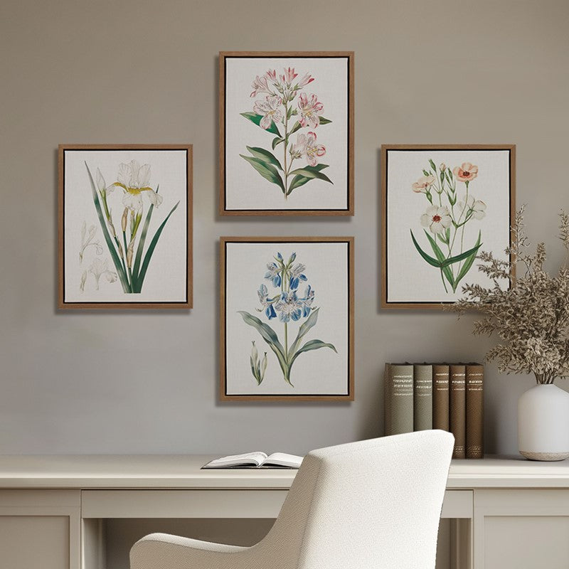 Herbal Botany 4-piece Botanical Illustration Framed Canvas Wall Art Set by Madison Park