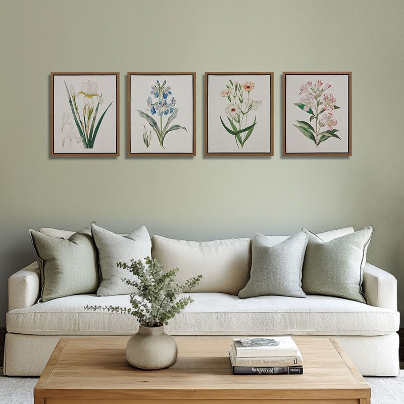Herbal Botany 4-piece Botanical Illustration Framed Canvas Wall Art Set by Madison Park