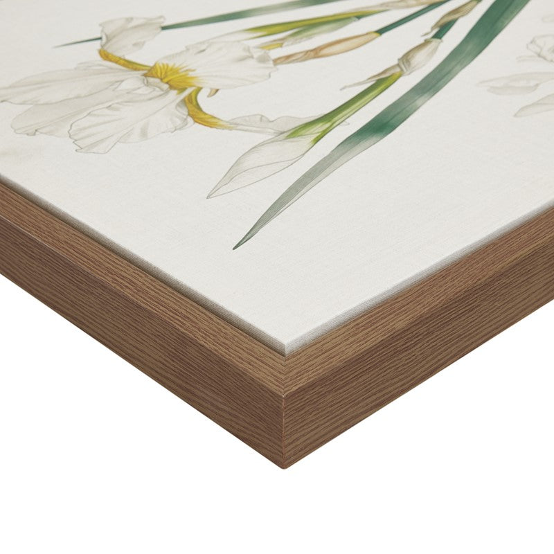 Herbal Botany 4-piece Botanical Illustration Framed Canvas Wall Art Set by Madison Park