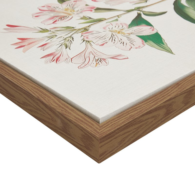 Herbal Botany 4-piece Botanical Illustration Framed Canvas Wall Art Set by Madison Park