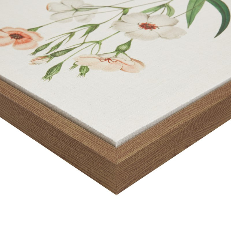 Herbal Botany 4-piece Botanical Illustration Framed Canvas Wall Art Set by Madison Park