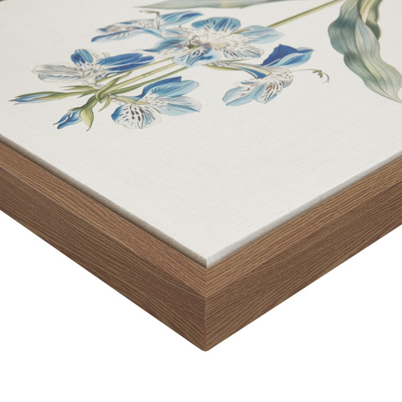 Herbal Botany 4-piece Botanical Illustration Framed Canvas Wall Art Set by Madison Park