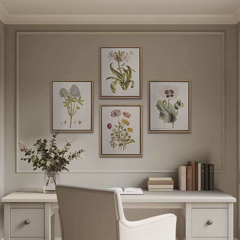 Herbal Botany 4-piece Botanical Illustration Framed Canvas Wall Art Set by Madison Park