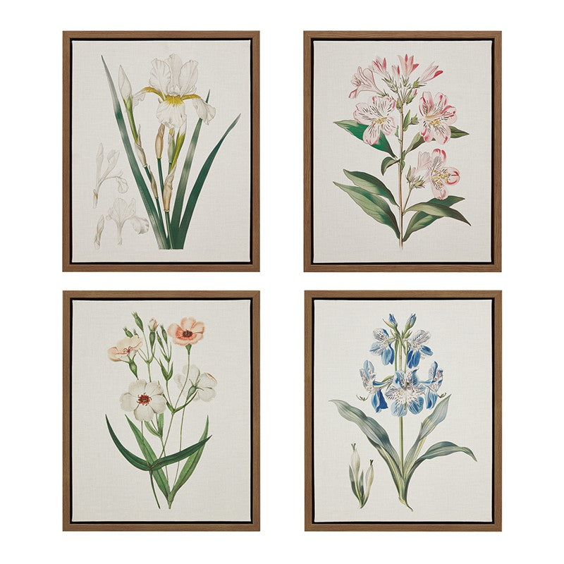 Herbal Botany 4-piece Botanical Illustration Framed Canvas Wall Art Set by Madison Park