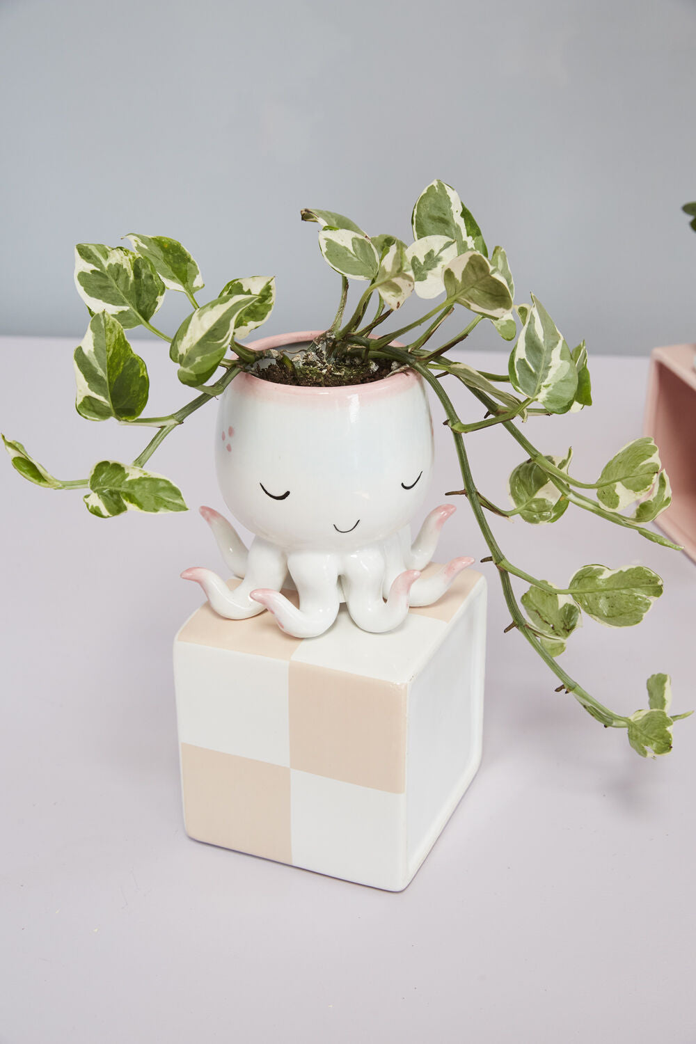 octopus planter pot Open Arms Octopus Pot – Luca Innovation