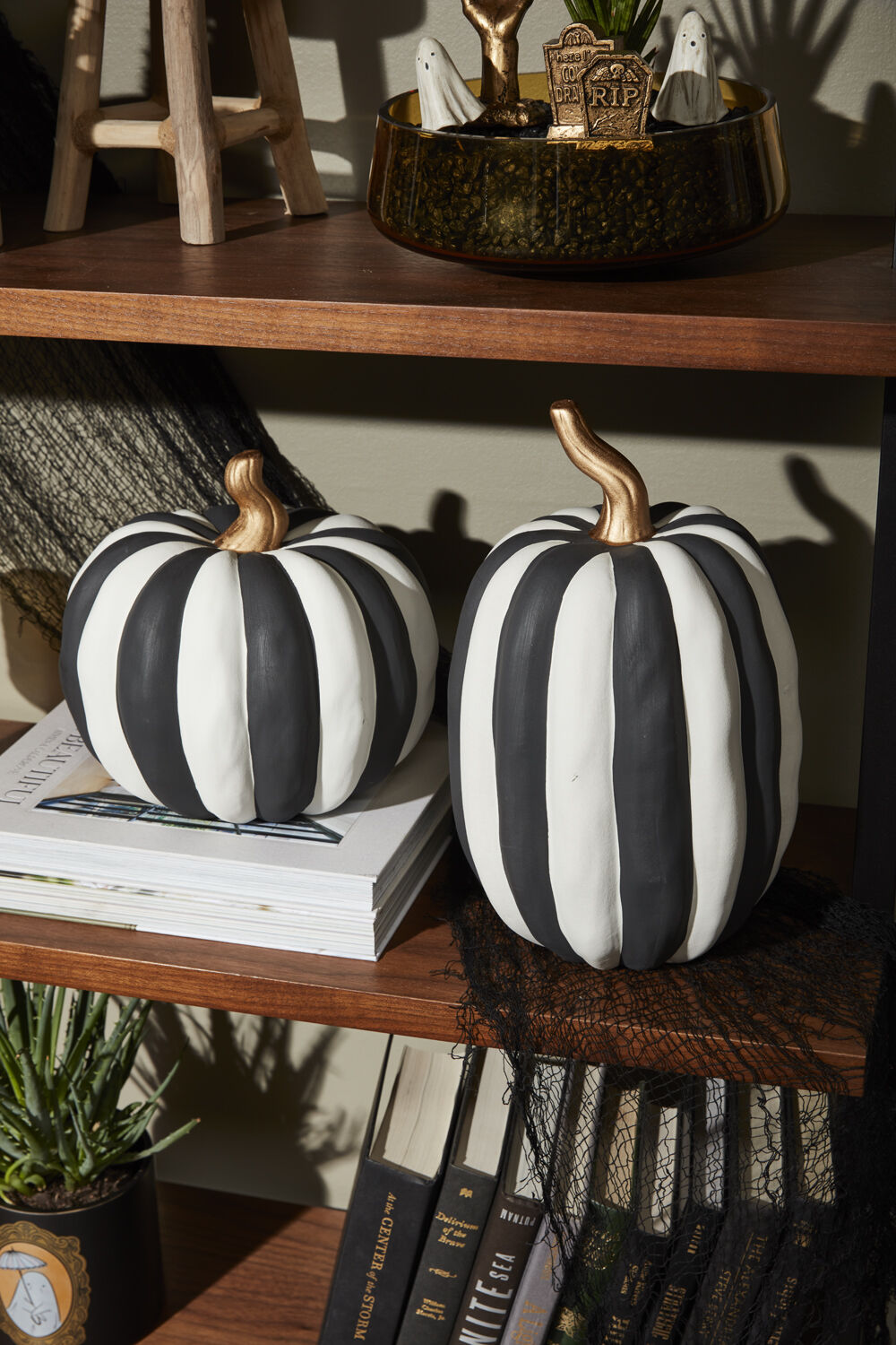 Black and White Striped Pumpkin