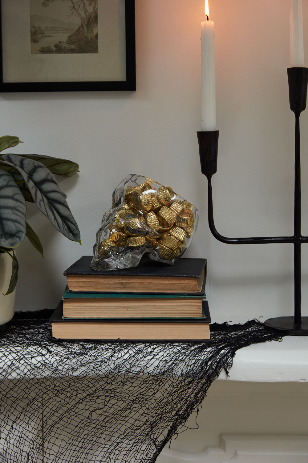 Glass Skull Terrarium