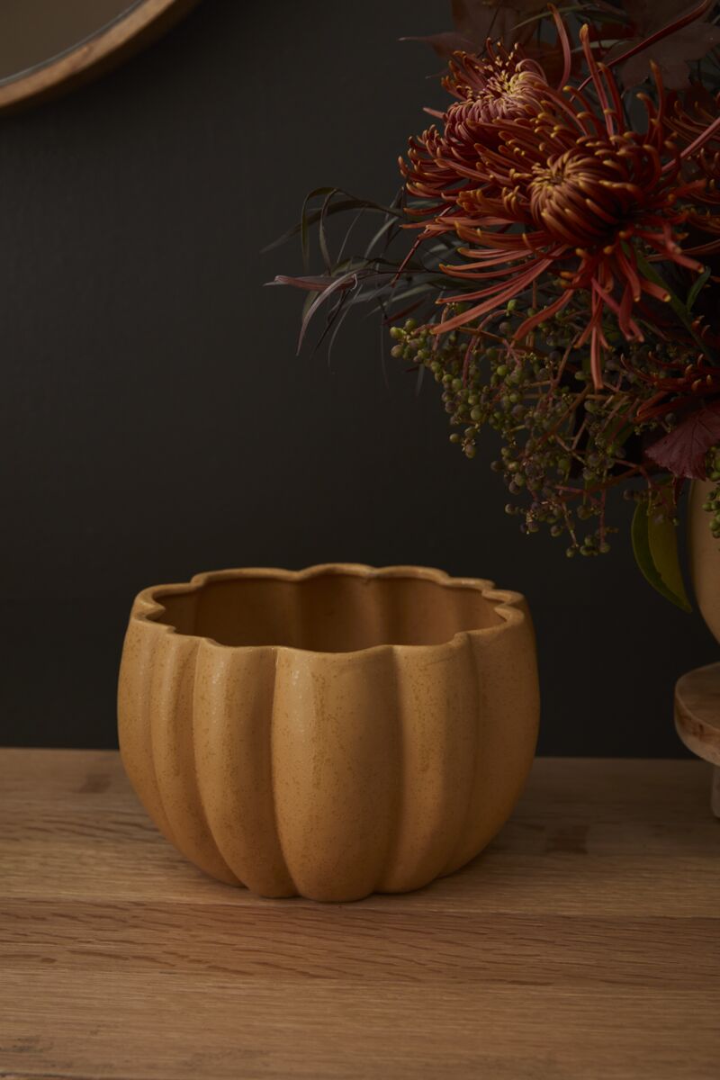 Spiced Pumpkin Pot